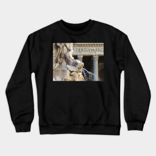 Spitting Water Crewneck Sweatshirt